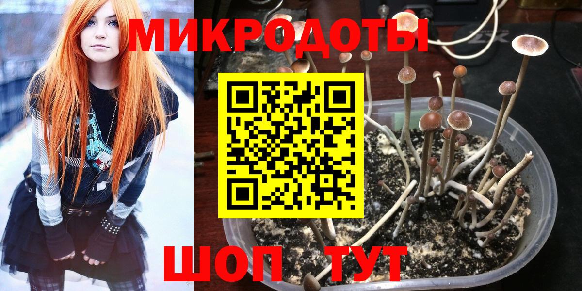 Галлюциногенные грибы Magic Shrooms Кировск